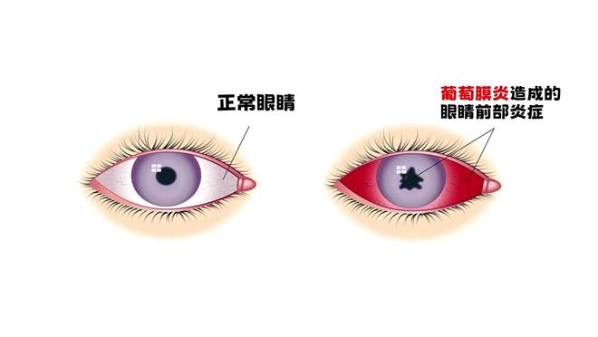 新利体育网站神治疗好15000人却差点命丧手术室天赋眼科大夫陶勇被砍案(图24)