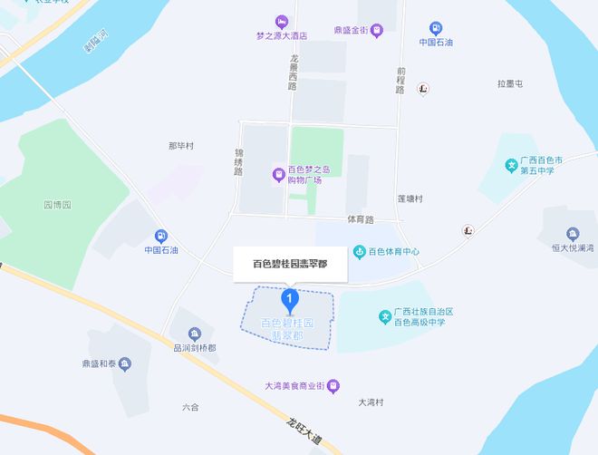 新利luck全站百色碧桂园一栋奢华装修的大别墅被拍卖只需390万(图2)