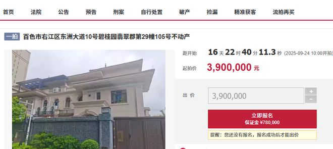 新利luck全站百色碧桂园一栋奢华装修的大别墅被拍卖只需390万(图1)